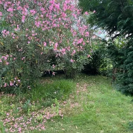 Hotel Maison - Jardin Aux Portes De Bordeaux Cenon